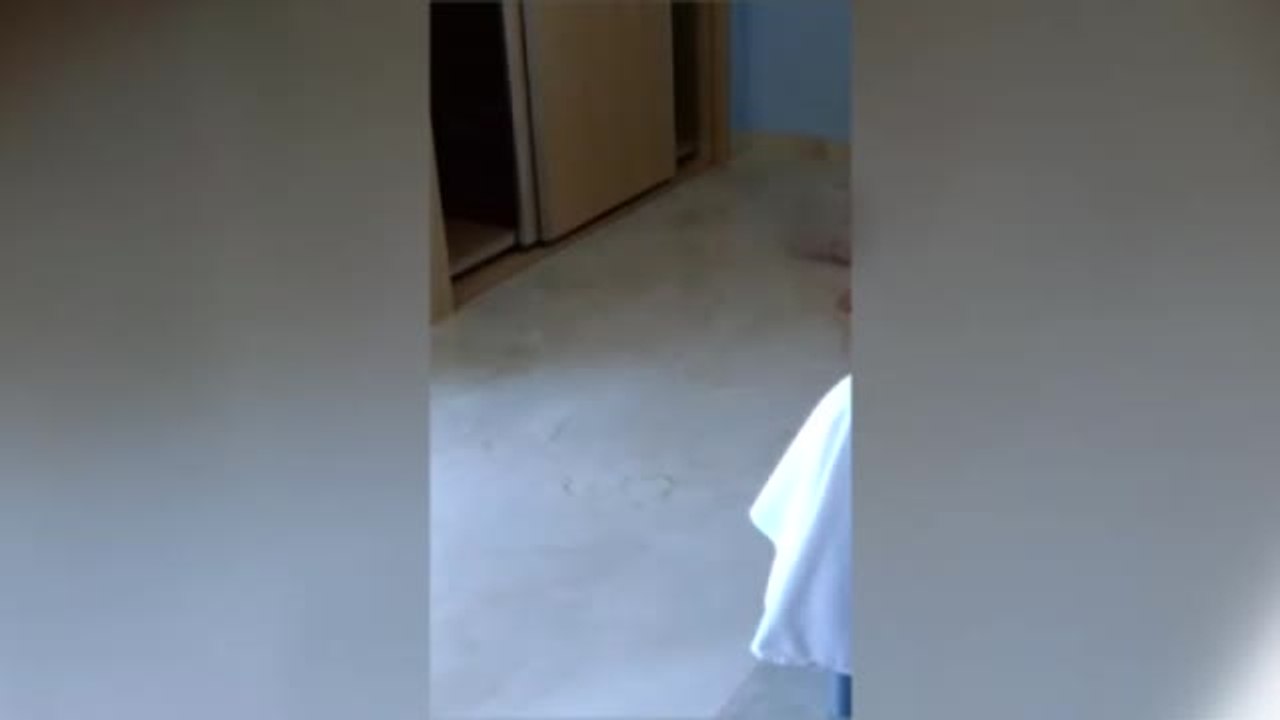 La Fiscalía ve indicios de delito en el caso de la residencia de Lliria