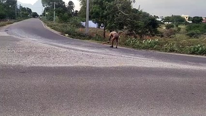 லத்திக்கு பதில் துடைப்பம்.. தலைமை காவலர் செய்த செயல்..  குவியும் பாராட்டுக்கள் - வீடியோ
