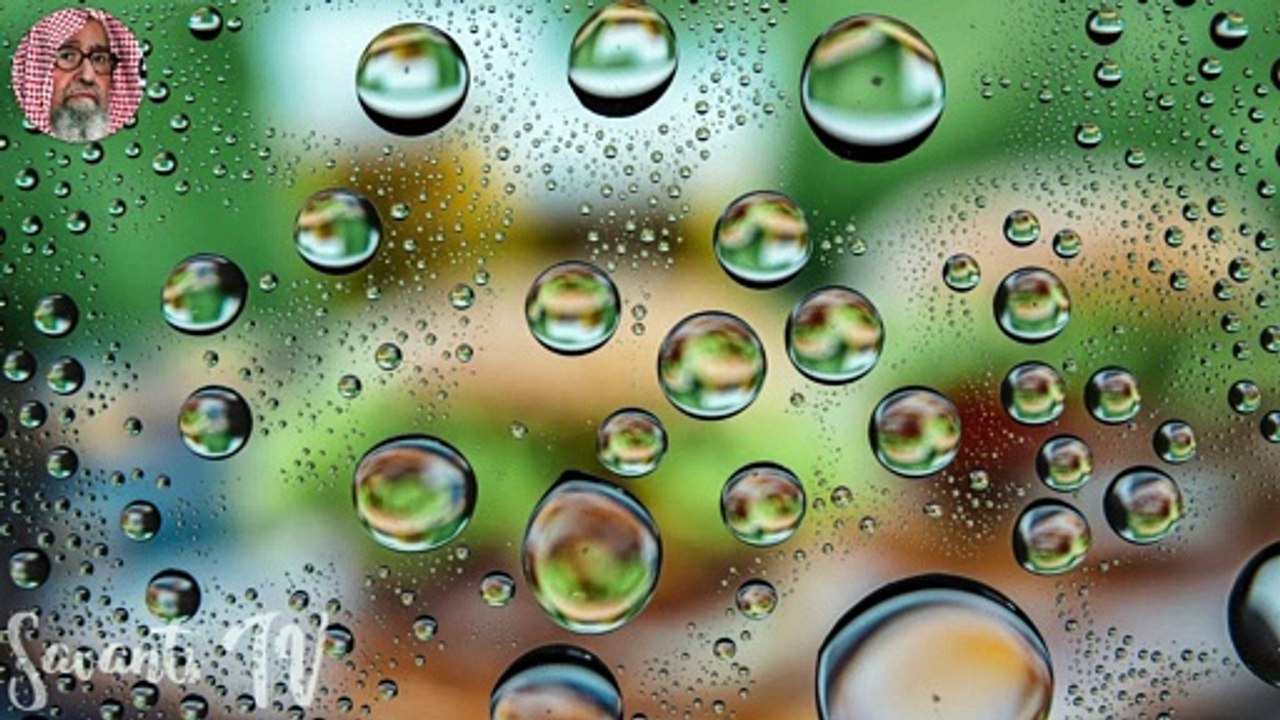 الشيخ صالح بن فوزان الفوزان حفظه الله