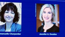 Prémio Nobel da Química para Emmanuelle Charpentier e Jennifer Doudna