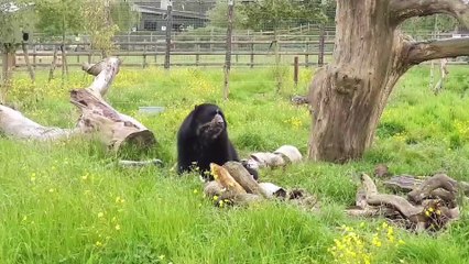 New farm shop opens at Noah's Ark Zoo Farm!