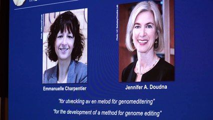 Nobel de Química vai para duas mulheres