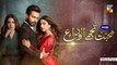 Mohabbat Tujhe Alvida Episode 17 HUM TV Drama 7 October 2020
