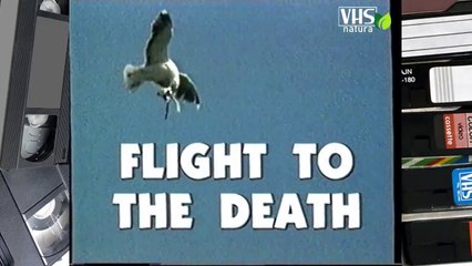 VOLARE VERSO LA MORTE