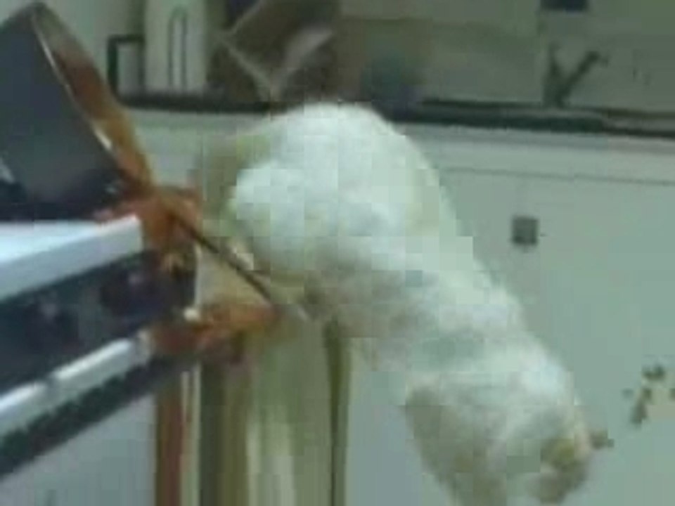 Ne jugez pas trop vite - III