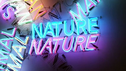 A Tate Modern új kiállítása Bruce Nauman műveiből válogat