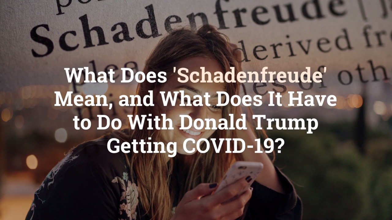What Does 'Schadenfreude' Mean, and What Does It Have to Do With Donald Trump Getting COVI