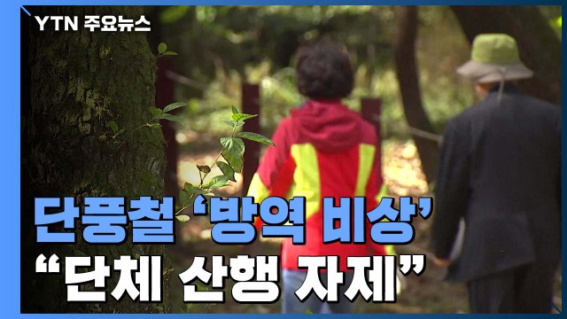 단풍철 앞둔 산과 들 '방역 비상'... 단체 산행 자제를 / YTN