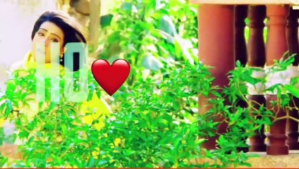 Mohabbat ko teri yaara umar bhar nibhaunga || romantic love