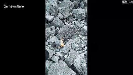 Un randonneur découvre un minerai très rare en russie... magnifique