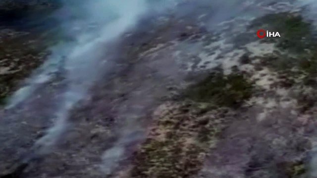 Alanya'daki orman yangınında 6 hektarlık alan zarar gördü