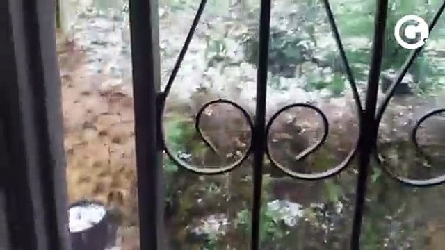 Morador registra chuva de granizo em Dores do Rio Preto