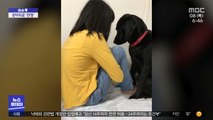 [이슈톡] 일본 법원, 학대 아동 증언시 강아지 동반