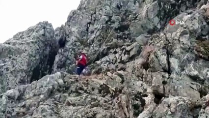 Kayalıklara kaçan keçiyi itfaiye ekipleri indirdi