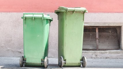 Return To Sender: Rookie USPS Mail Carrier Dumped Ballots Into New Jersey Dumpsters