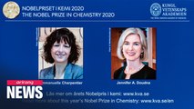 Two scientists awarded Nobel Prize in Chemistry for genome editing research