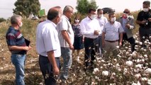 Efeler Ziraat Odası Başkanı Kendirlioğlu, 'Çiftçinin bayramı hasattır'