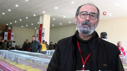 Manisa'nın asırlık güvercini 'Hünkari' tescillendi