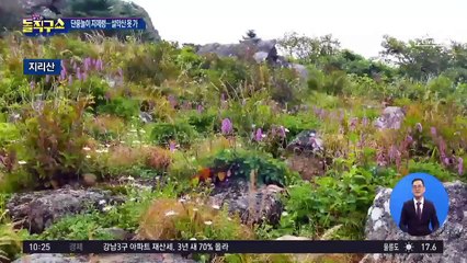 [핫플]“산 가지말고 모니터로 보세요”…단풍놀이 자제령