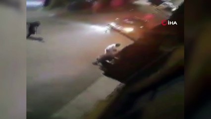 - Mısır Haklar ve Özgürlükler Komisyonu: “Mısır’daki protestolarda 249 kişi gözaltına alındı”