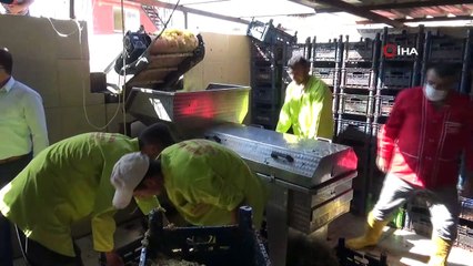 Üzümün taneden pekmeze uzanan yolculuğu