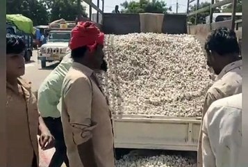 13 दिन बाद आज खुली मण्डी, खुलते ही मण्डी में लगी भीड