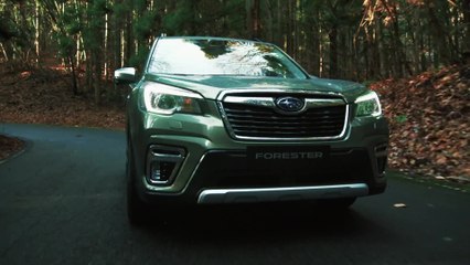 Subaru e-BOXER - Agility