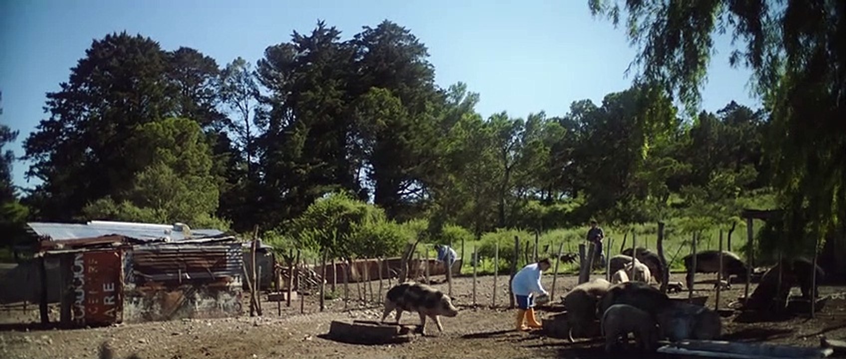 LA CHANCHA Película