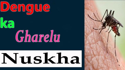 Dengue ka Gharelu Nuskha | Health Tips