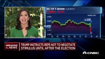 Chris Wallace - “NO MORE STIMULUS” - Second Stimulus CHECK Update   Chris Wallace GOES CRAZY ON AIR