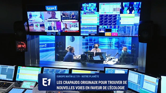 Théorie des crapauds fous : un comportement dont nous devrions nous inspirer !