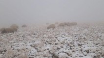 Başkale’de yılın ilk karı yağdı