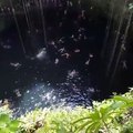 cenotes-yucatan-mexique-2