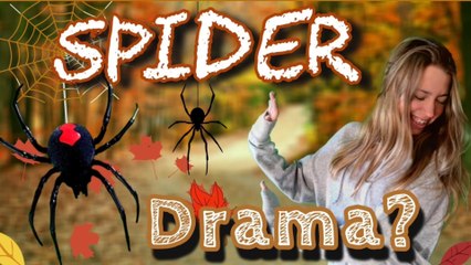 10. Family Spider Drama and Revisiting the Annual Fall Party !