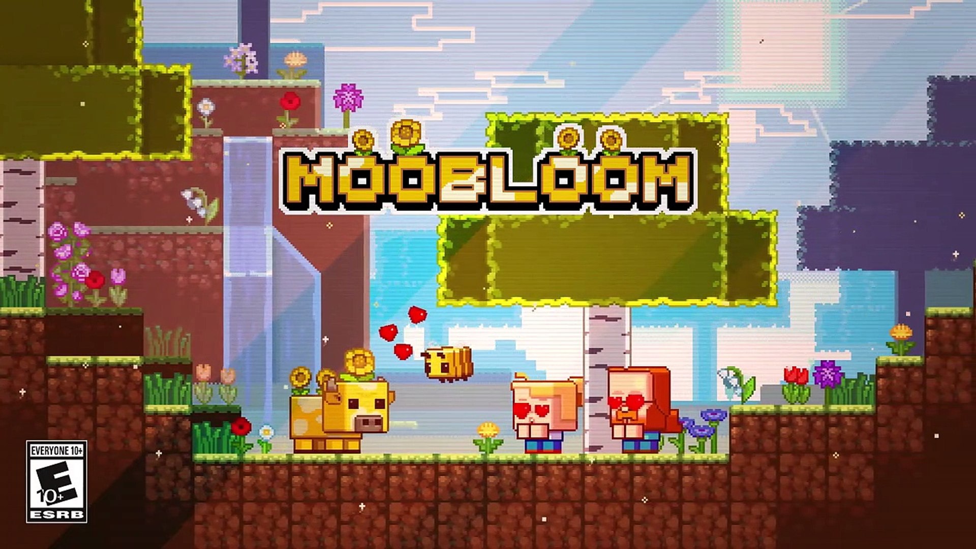 dailymotion