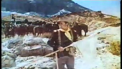 Người Apache - Apache Rifles (1964) thuyết minh (phần 1)