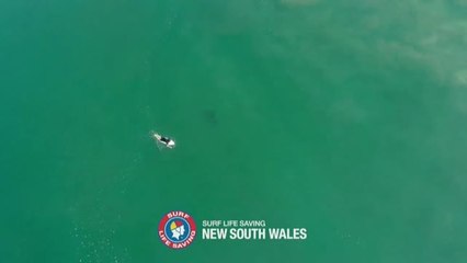 Escalofriante imagen de cómo un tiburón se acerca hasta un surfista en Australia