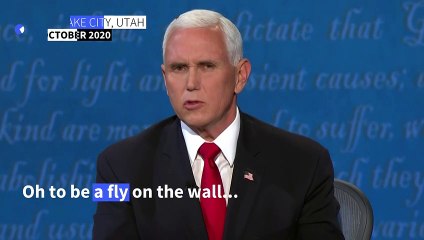 Fly creates buzz at VP debate – and online