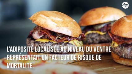 L'excès de graisse abdominale accroit le risque de mourir prématurément