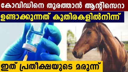 കോവിഡിനെ തുരത്താൻ കുതിരകളിൽ നിന്നും ഉണ്ടാക്കുന്ന മരുന്ന് | Oneindia Malayalam