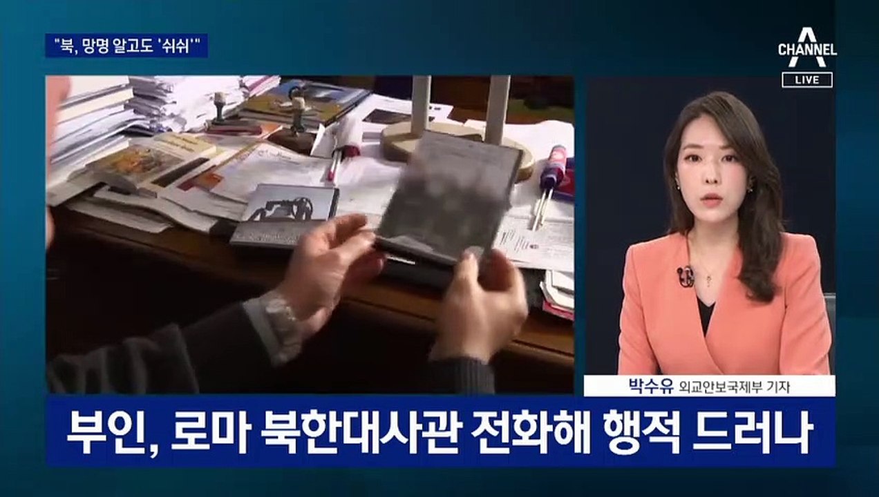 조성길 망명 미스터리…1년 넘게 비공개 왜?
