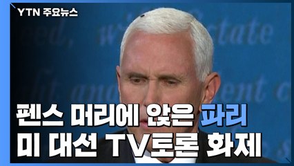 "니가 왜 거기서 나와?"...美 대선 TV토론 즐긴 파리 화제 / YTN