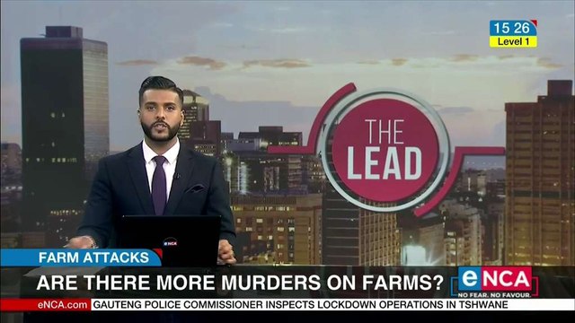 Undocumented minors found during stop and search