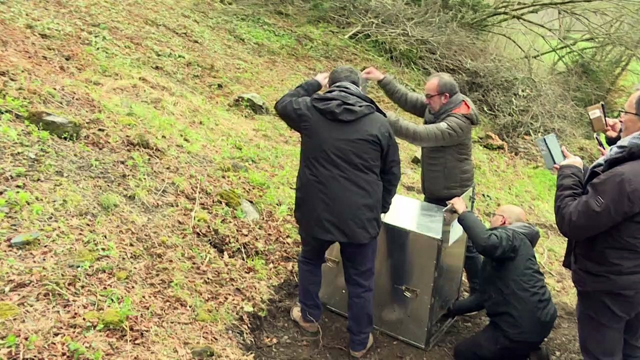 Diese säugetiere stehen auf der roten liste