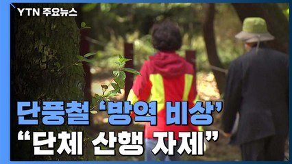 단풍철 앞둔 산과 들 '방역 비상'..."단체 산행 자제를" / YTN