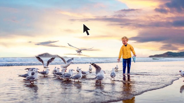 Photoshop Elements 2021 & Premiere Elements 2021