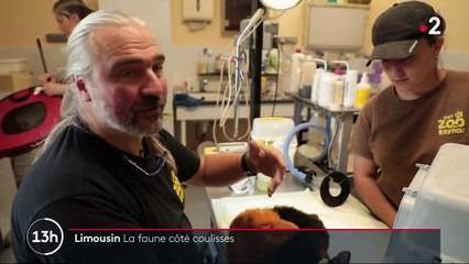 Feuilleton de la semaine : à la découverte du parc animalier du Reynou, en Haute-Vienne