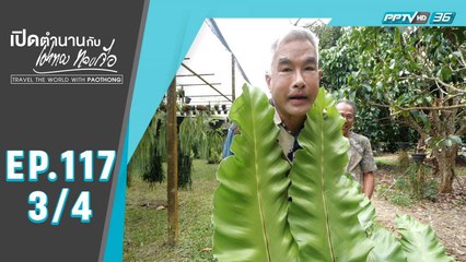 เปิดตำนานกับเผ่าทอง ทองเจือ | "ระยองซ่อนสุข" | 11 ต.ค. 63 (3/4)