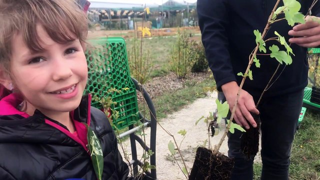 Emma et ses camarades participent à la plantation