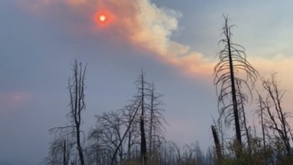 California contra Trump en la búsqueda de medidas contra la crisis climática